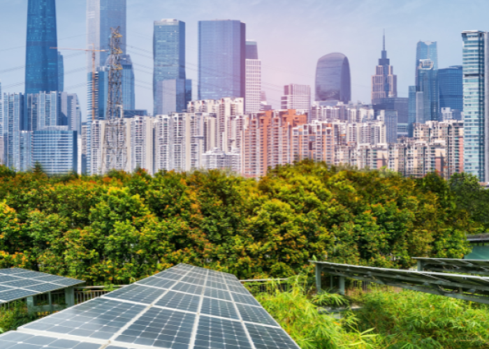 DESARROLLO ENERGÉTICO SOSTENIBLE